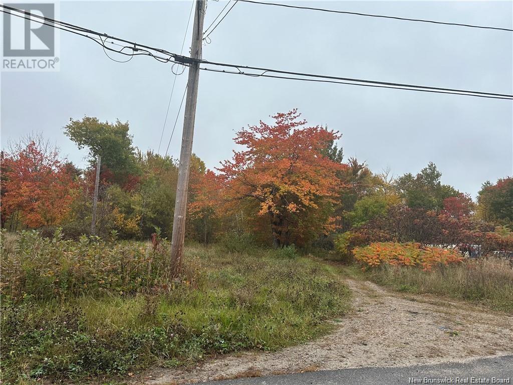 72 Old Harvey Road, Mcadam, New Brunswick  E6J 1B8 - Photo 1 - NB124182