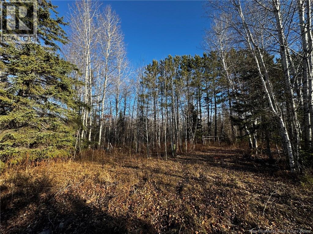 3350 Sqm Hwy 430, Chaplin Island Road, New Brunswick  E1V 4V3 - Photo 2 - NB124243