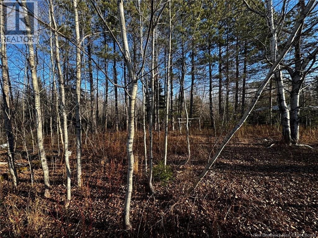 3350 Sqm Hwy 430, Chaplin Island Road, New Brunswick  E1V 4V3 - Photo 3 - NB124243