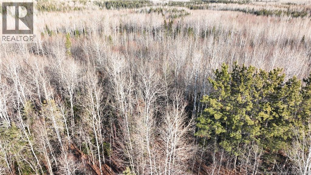 3350 Sqm Hwy 430, Chaplin Island Road, New Brunswick  E1V 4V3 - Photo 4 - NB124243