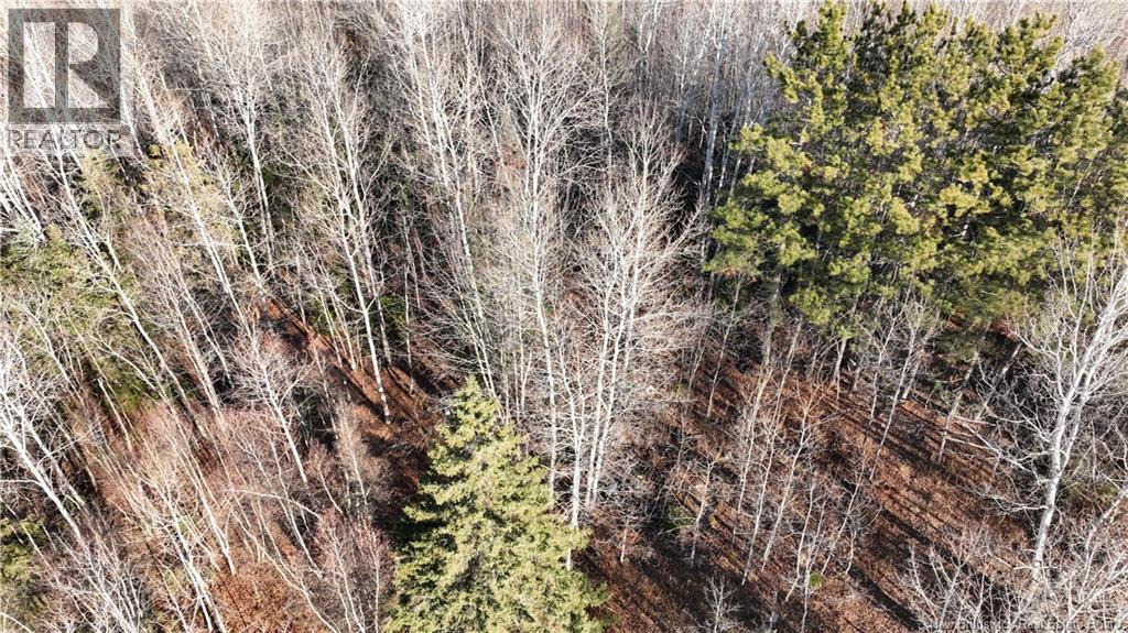 3350 Sqm Hwy 430, Chaplin Island Road, New Brunswick  E1V 4V3 - Photo 5 - NB124243