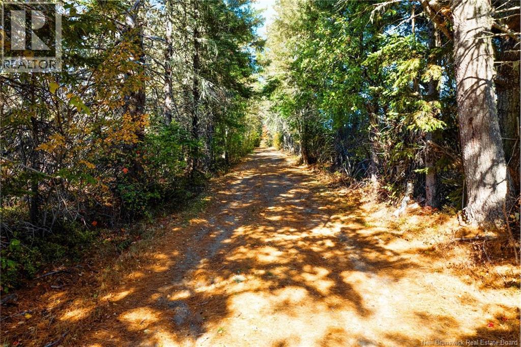 3090 Route 116, Salmon River Rd, New Brunswick  E4A 3M3 - Photo 45 - NB124247
