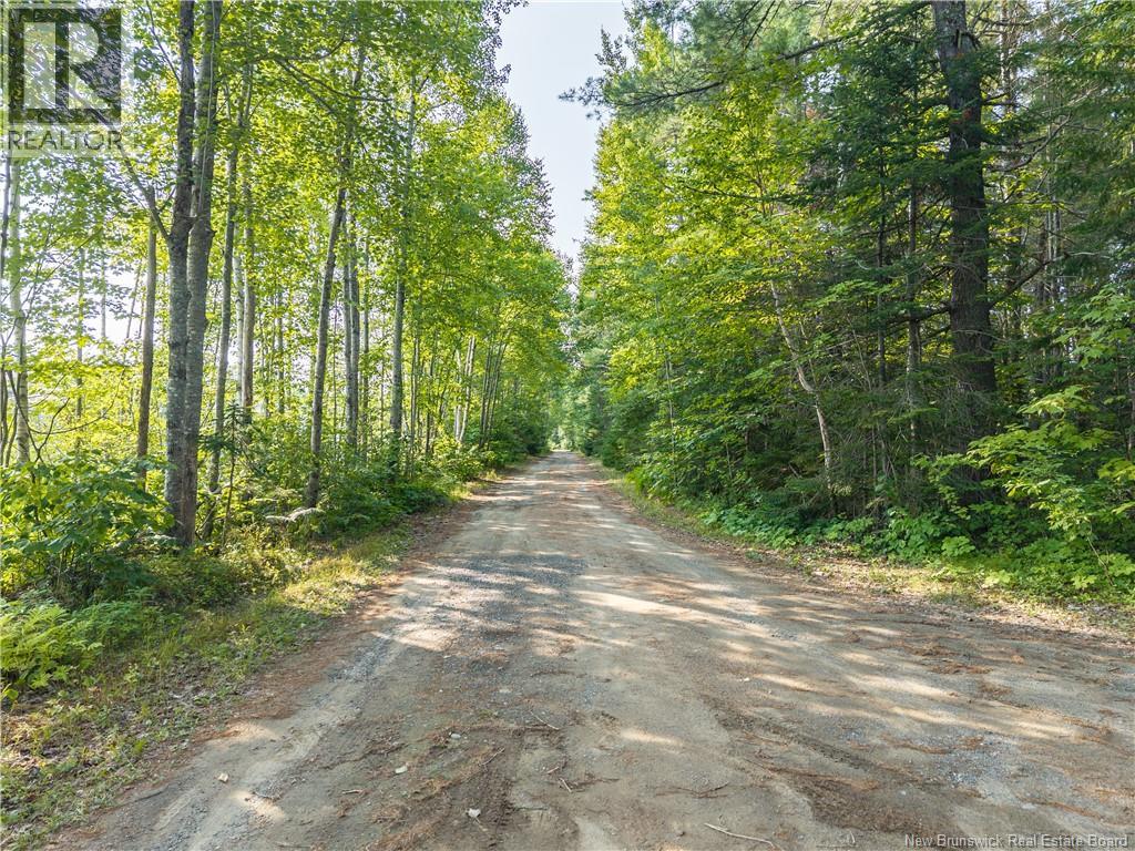 15 Mckinnon Road, Miramichi, New Brunswick  E1V 5Y1 - Photo 15 - NB124275