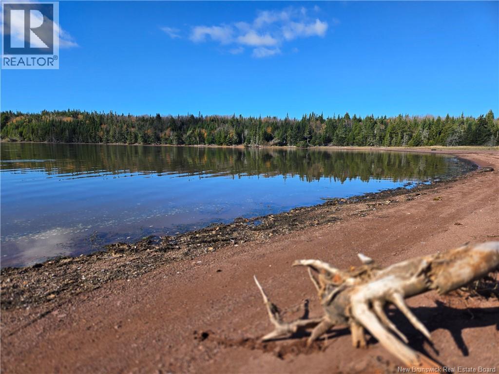 Lot Lockhart Lake, New Horton, New Brunswick E4H 1W3 - Photo 15 - NB124293