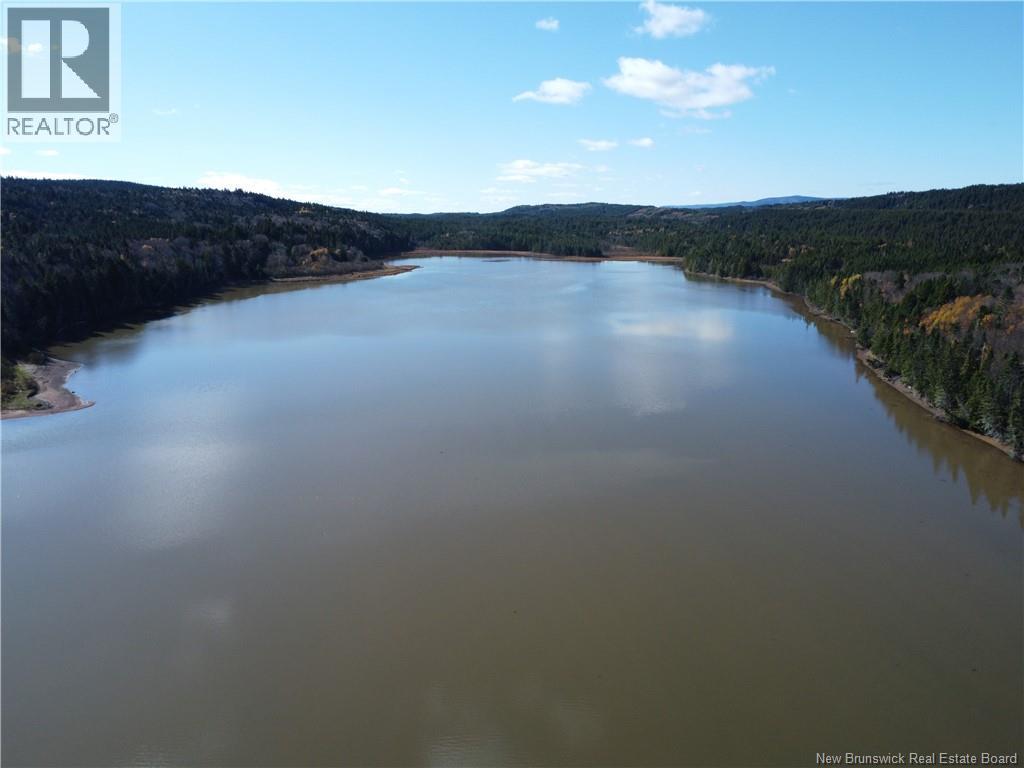 Lot Lockhart Lake, New Horton, New Brunswick E4H 1W3 - Photo 18 - NB124293