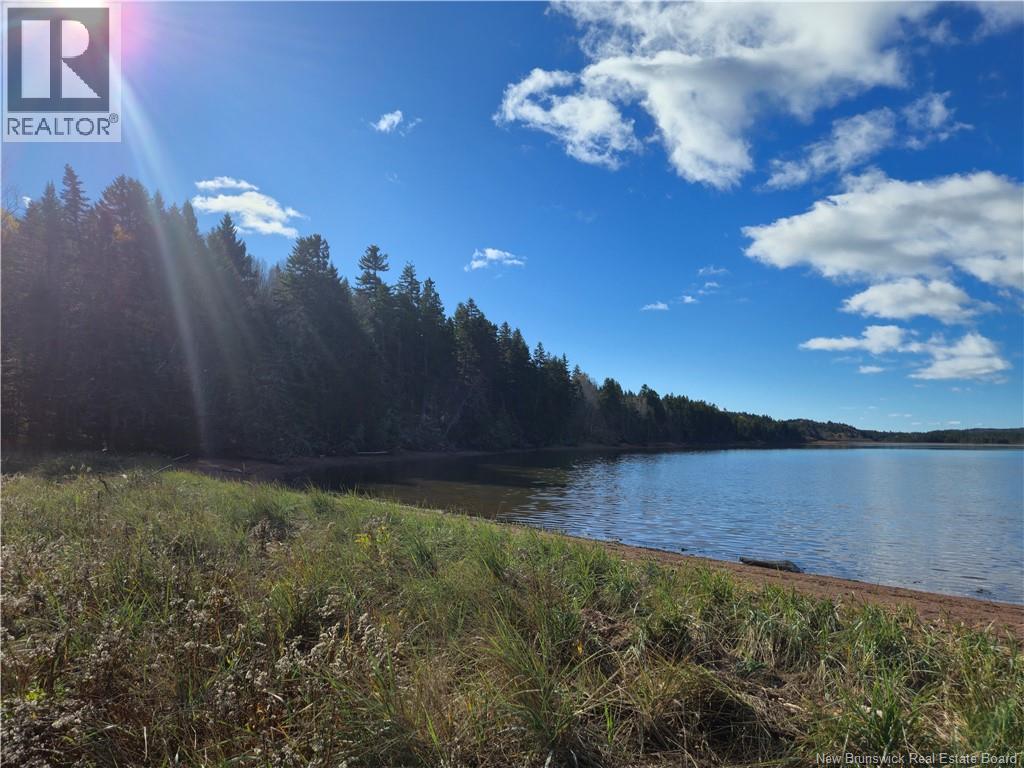 Lot Lockhart Lake, New Horton, New Brunswick E4H 1W3 - Photo 6 - NB124293