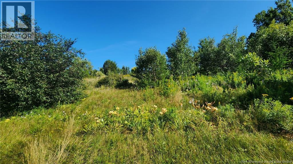 2 Acres Chemin Nowlan, Landry Office, New Brunswick  E8P 2K2 - Photo 2 - NB124188