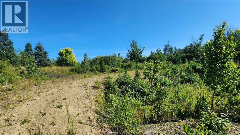 2 Acres Chemin Nowlan, Landry Office, New Brunswick  E8P 2K2 - Photo 4 - NB124188
