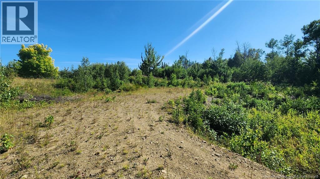 2 Acres Chemin Nowlan, Landry Office, New Brunswick  E8P 2K2 - Photo 6 - NB124188