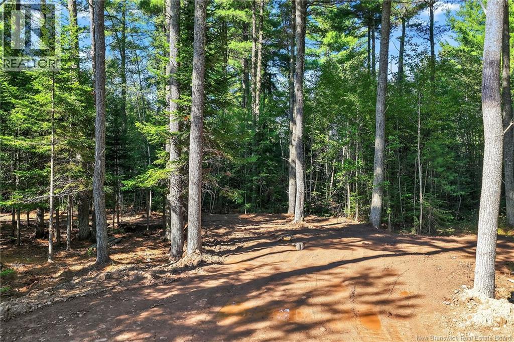 Lot 17-1 Des Pins Street, Aldouane, New Brunswick  E4W 5C1 - Photo 3 - NB124299
