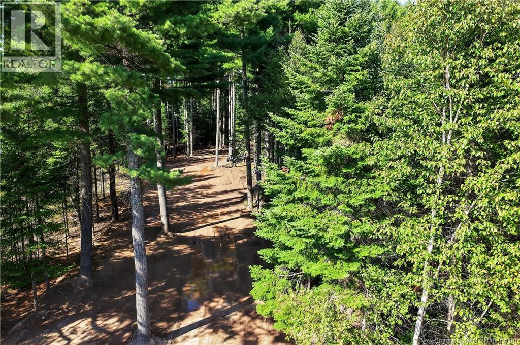 Lot 17-1 Des Pins Street, Aldouane, New Brunswick  E4W 5C1 - Photo 5 - NB124299