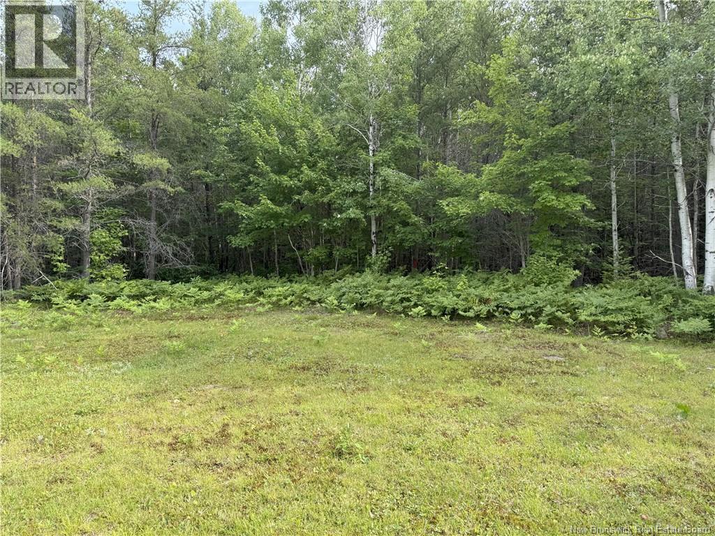 Lot 86.1 South Tomogonops Cluster, Northesk, New Brunswick  E1V 1L5 - Photo 4 - NB124316