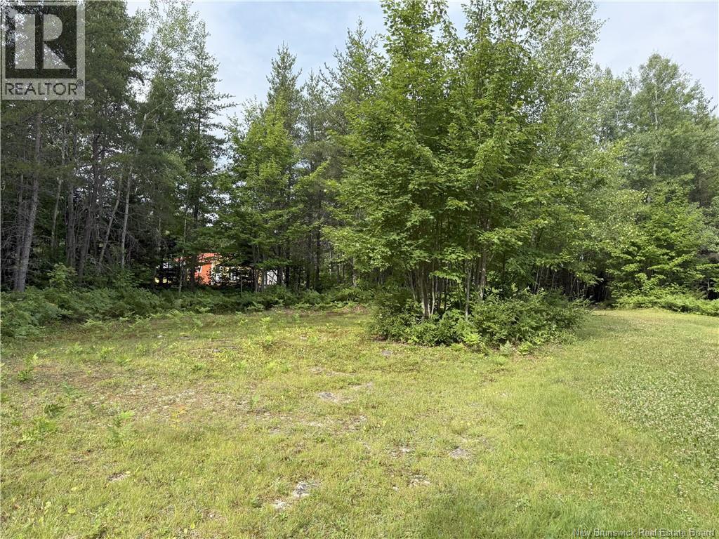 Lot 86.1 South Tomogonops Cluster, Northesk, New Brunswick  E1V 1L5 - Photo 5 - NB124316