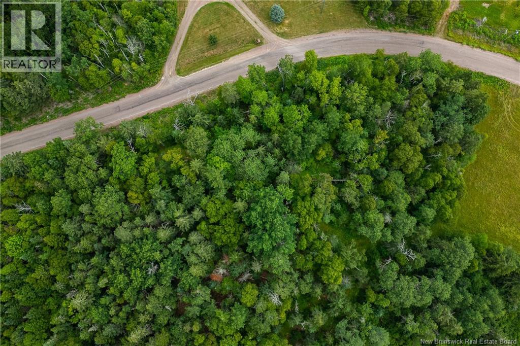 Lot 25-4 Green Road, Westcock, New Brunswick E4L 2J3 - Photo 4 - NB124280