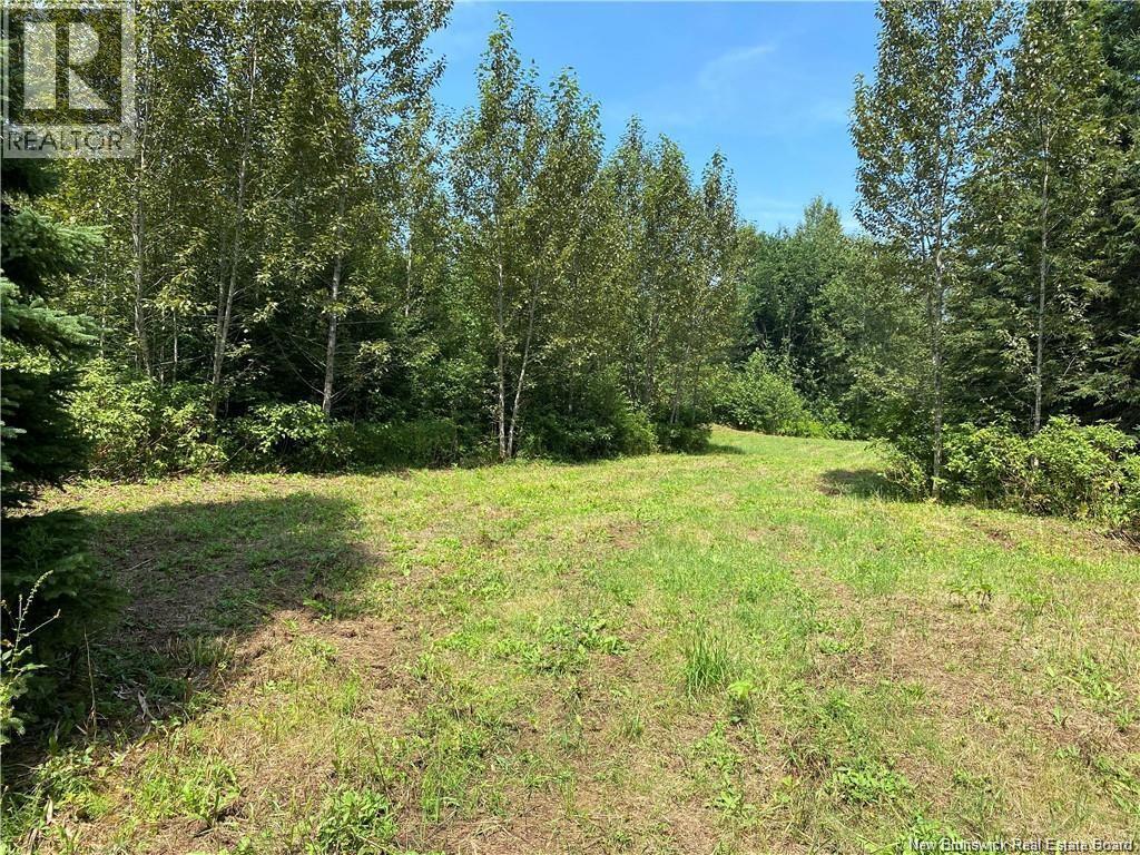 Land Archibald Road, Belledune, New Brunswick E8G 1W5 - Photo 3 - NB124354