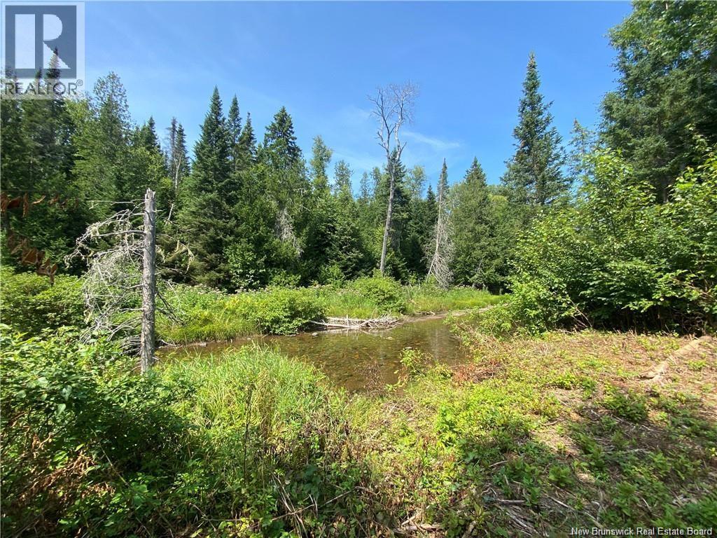 Land Archibald Road, Belledune, New Brunswick E8G 1W5 - Photo 4 - NB124354