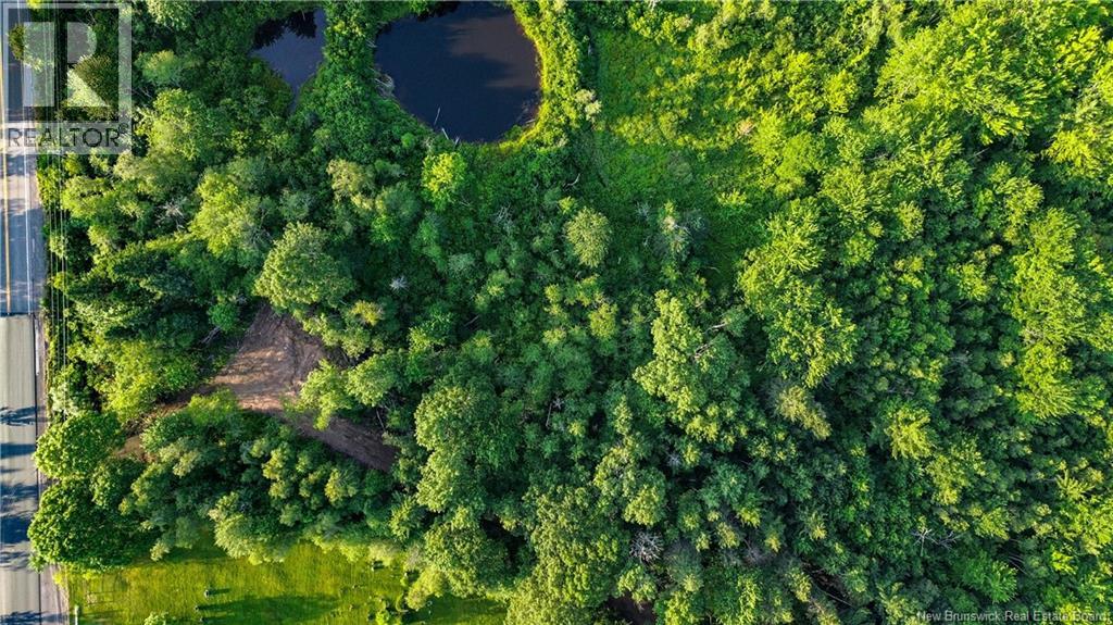 Lot Route 10, Coles Island, New Brunswick  O0O 0O0 - Photo 10 - NB124421