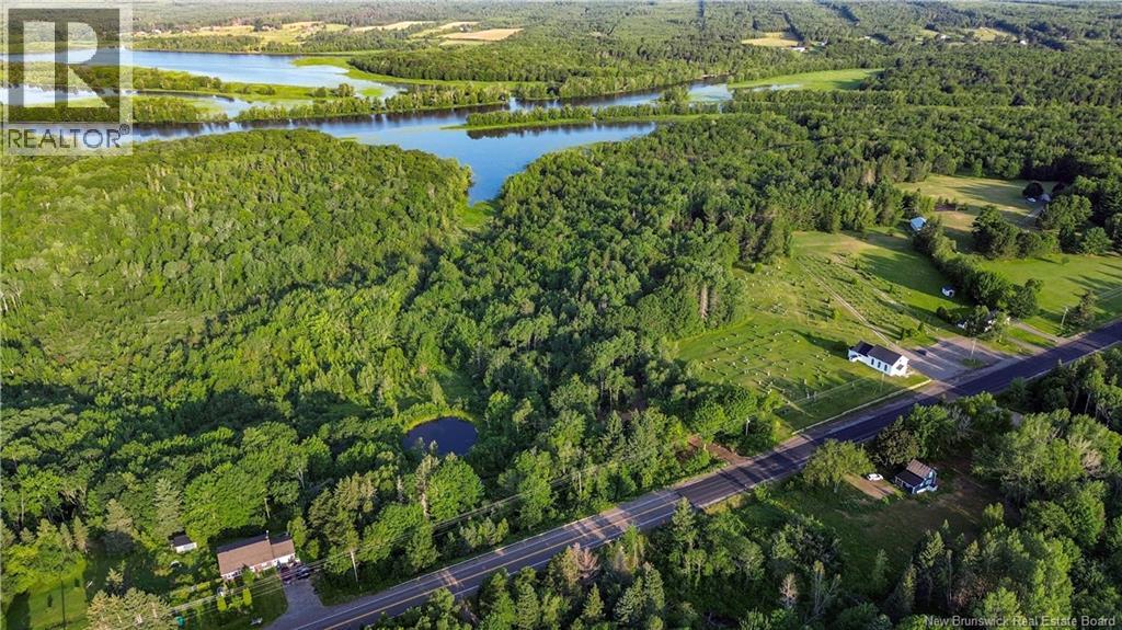 Lot Route 10, Coles Island, New Brunswick  O0O 0O0 - Photo 11 - NB124421