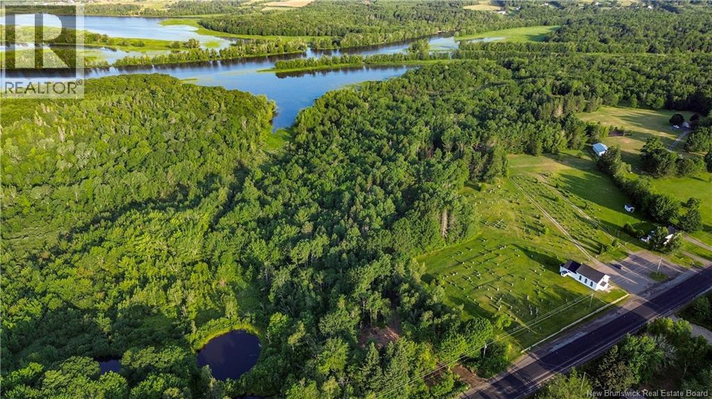 Lot Route 10, Coles Island, New Brunswick  O0O 0O0 - Photo 12 - NB124421