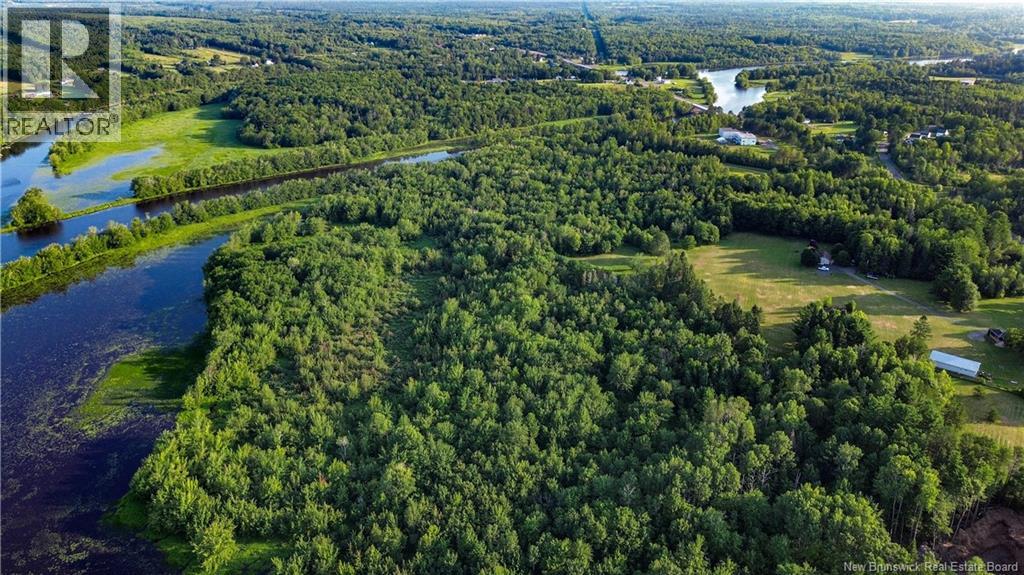 Lot Route 10, Coles Island, New Brunswick  O0O 0O0 - Photo 17 - NB124421