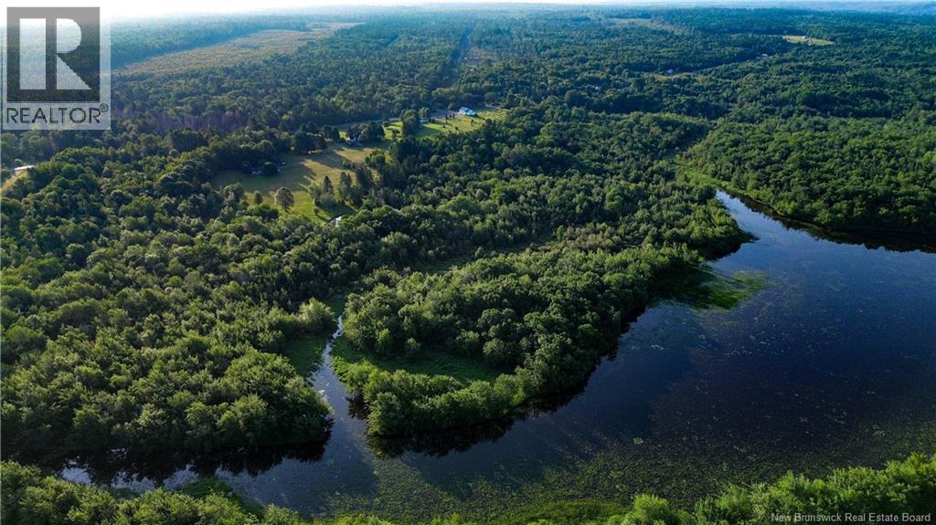 Lot Route 10, Coles Island, New Brunswick  O0O 0O0 - Photo 2 - NB124421