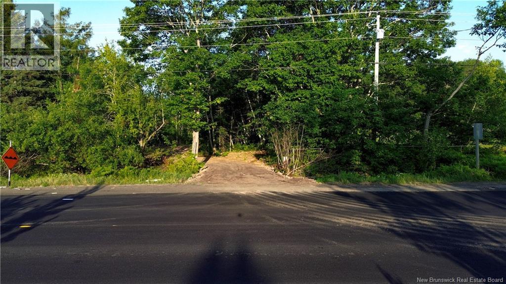 Lot Route 10, Coles Island, New Brunswick  O0O 0O0 - Photo 22 - NB124421