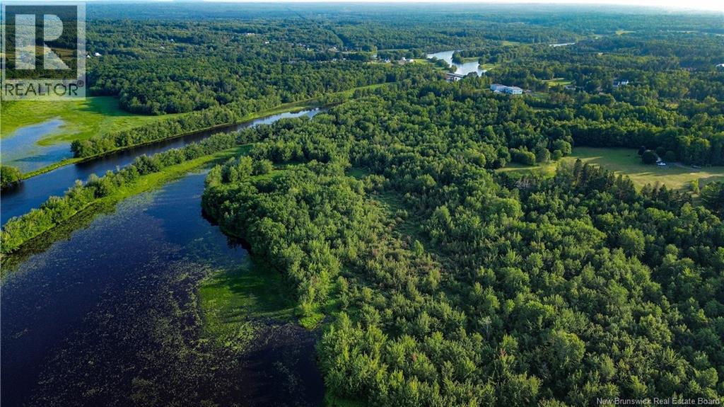 Lot Route 10, Coles Island, New Brunswick  O0O 0O0 - Photo 4 - NB124421