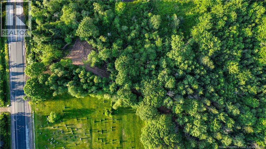 Lot Route 10, Coles Island, New Brunswick  O0O 0O0 - Photo 9 - NB124421