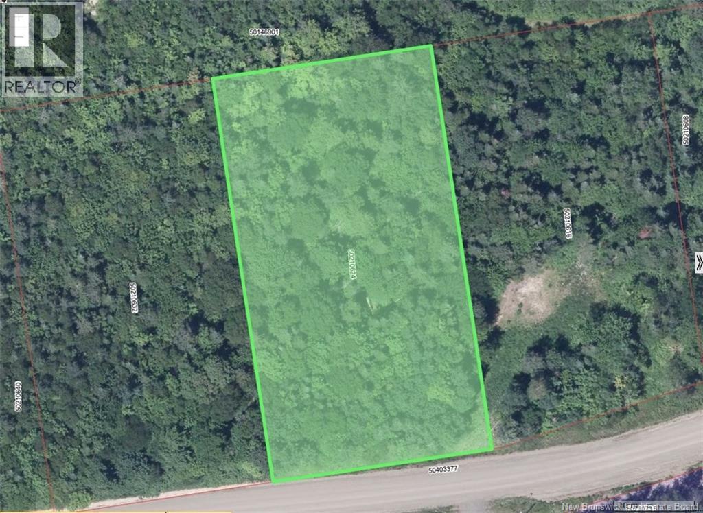 Lot Des Chalets Road, Saint-Arthur, New Brunswick E3N 5P3 - Photo 3 - NB124258