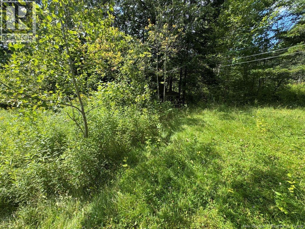 25-2 Route 620, Estey's Bridge, New Brunswick  E3A 6K4 - Photo 2 - NB124457