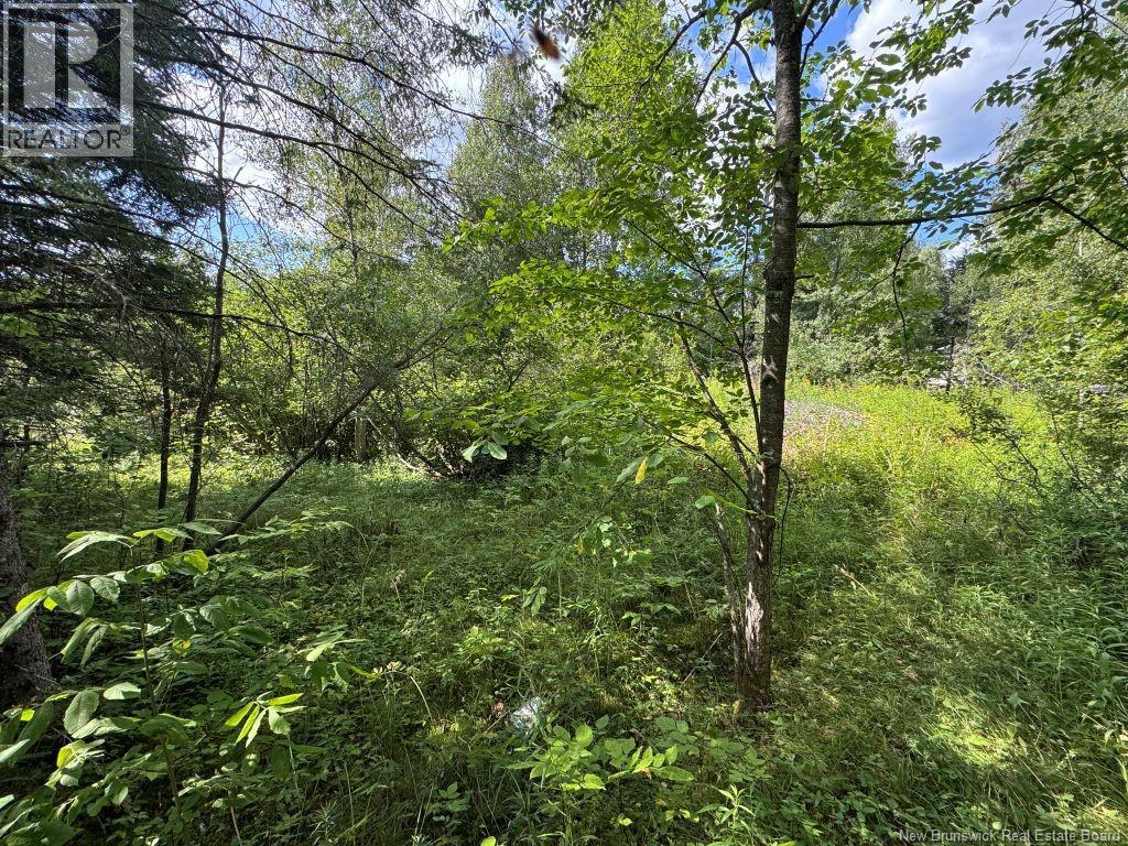 25-2 Route 620, Estey's Bridge, New Brunswick  E3A 6K4 - Photo 3 - NB124457