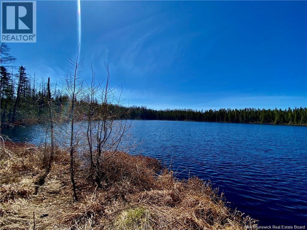 0 Goodine Cross Road, Sisson Ridge, New Brunswick  E7G 1S4 - Photo 1 - NB123418