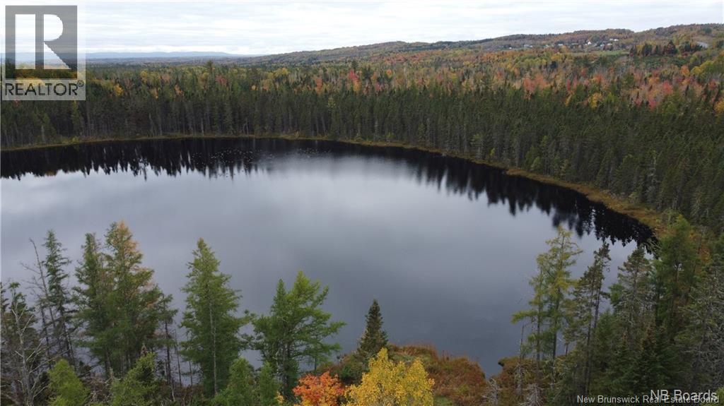 0 Goodine Cross Road, Sisson Ridge, New Brunswick  E7G 1S4 - Photo 2 - NB123418