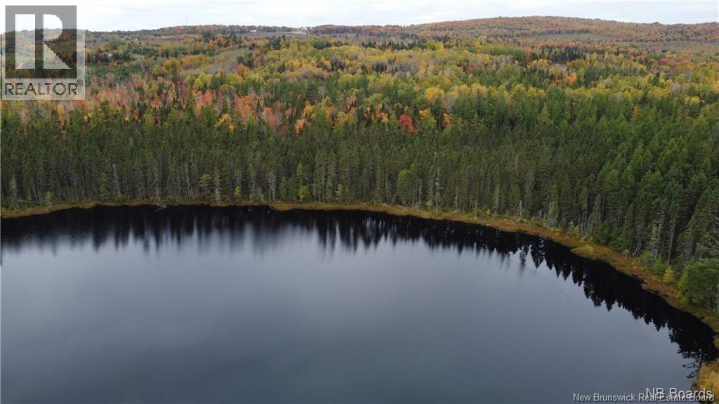 0 Goodine Cross Road, Sisson Ridge, New Brunswick  E7G 1S4 - Photo 5 - NB123418