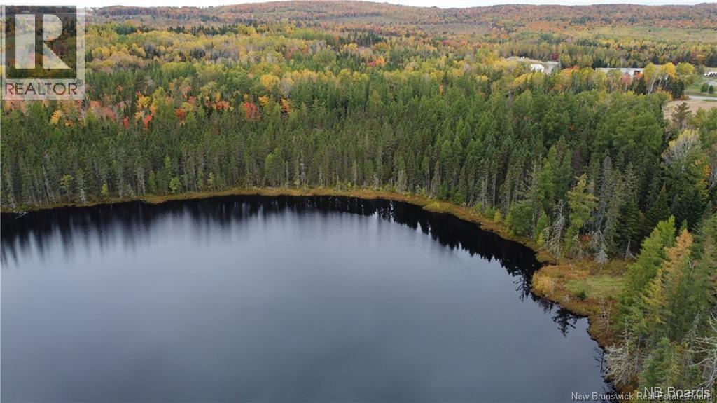 0 Goodine Cross Road, Sisson Ridge, New Brunswick  E7G 1S4 - Photo 6 - NB123418