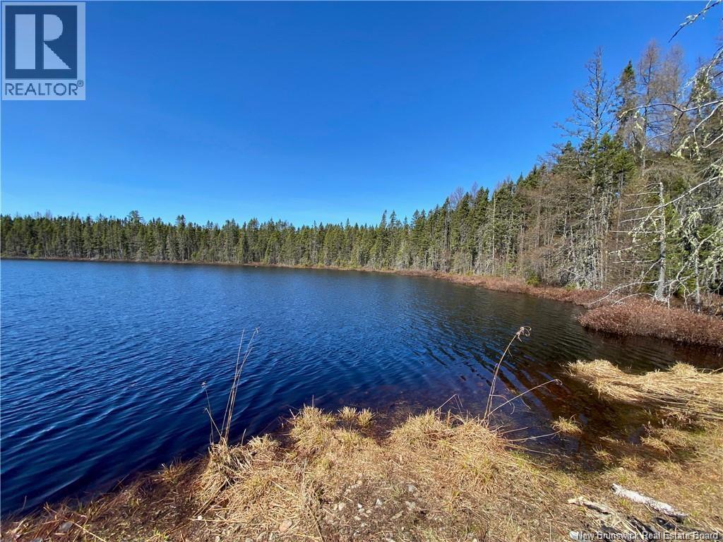 0 Goodine Cross Road, Sisson Ridge, New Brunswick  E7G 1S4 - Photo 8 - NB123418