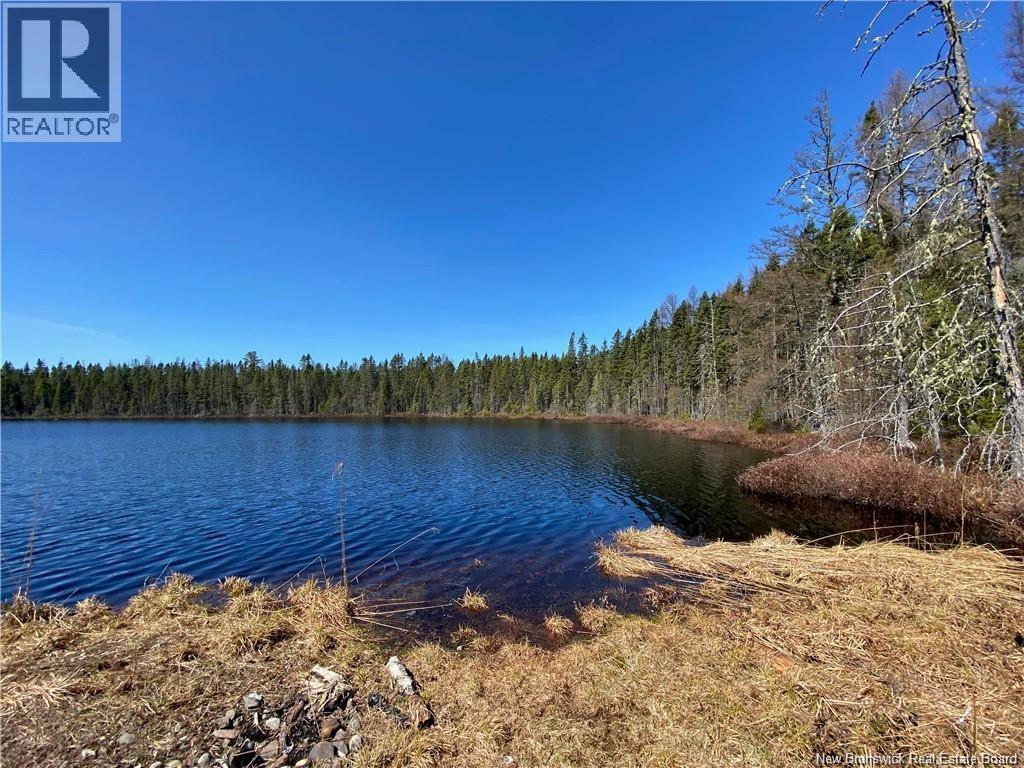 0 Goodine Cross Road, Sisson Ridge, New Brunswick  E7G 1S4 - Photo 9 - NB123418