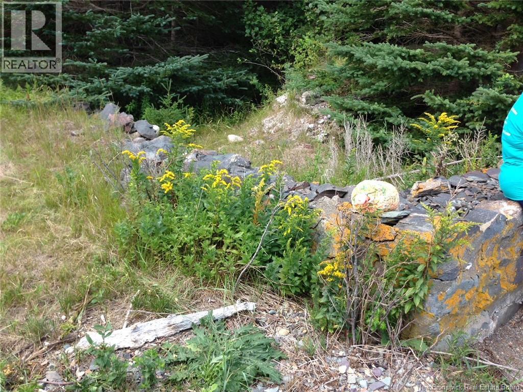 39 Indian Island, Indian Island, New Brunswick E4W 1S5 - Photo 3 - NB124570