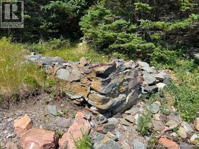 39 Indian Island, Indian Island, New Brunswick E4W 1S5 - Photo 4 - NB124570