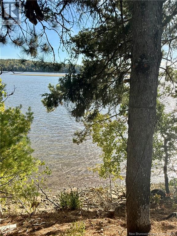 1173 Route 425, Whitney, New Brunswick  E1V 4L3 - Photo 10 - NB124436
