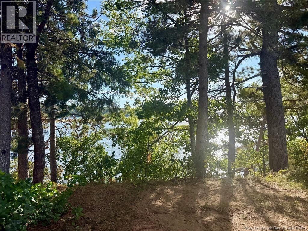 1173 Route 425, Whitney, New Brunswick  E1V 4L3 - Photo 11 - NB124436