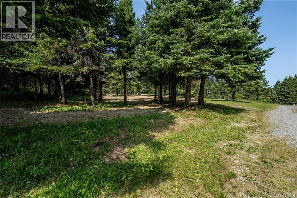 729 Route 260, Saint-Quentin, New Brunswick  E8A 2L7 - Photo 35 - NB124645