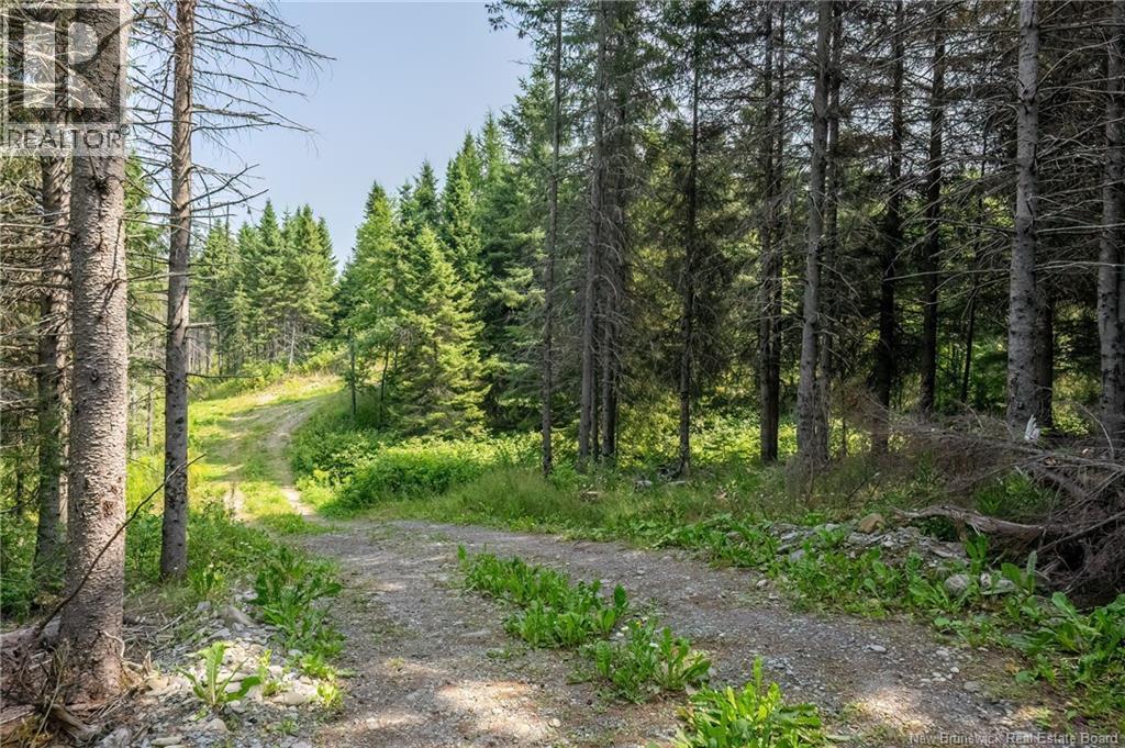 729 Route 260, Saint-Quentin, New Brunswick  E8A 2L7 - Photo 38 - NB124645