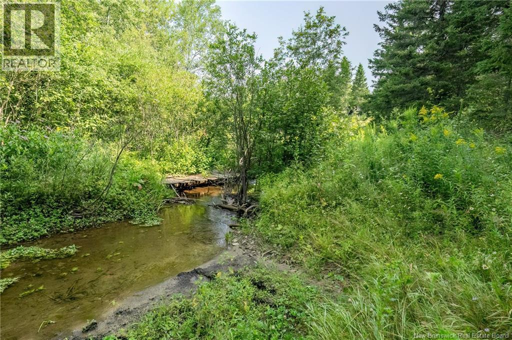 729 Route 260, Saint-Quentin, New Brunswick  E8A 2L7 - Photo 39 - NB124645