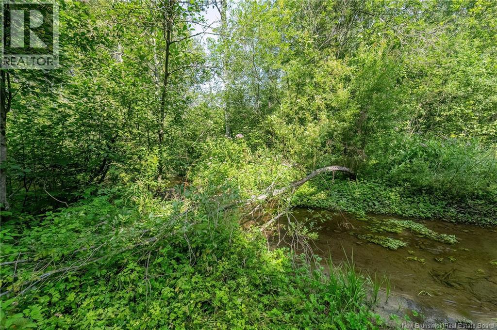 729 Route 260, Saint-Quentin, New Brunswick  E8A 2L7 - Photo 40 - NB124645