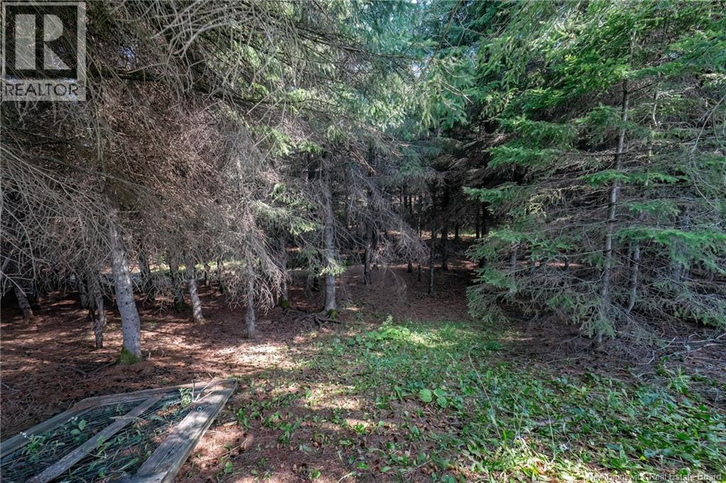 729 Route 260, Saint-Quentin, New Brunswick  E8A 2L7 - Photo 47 - NB124704