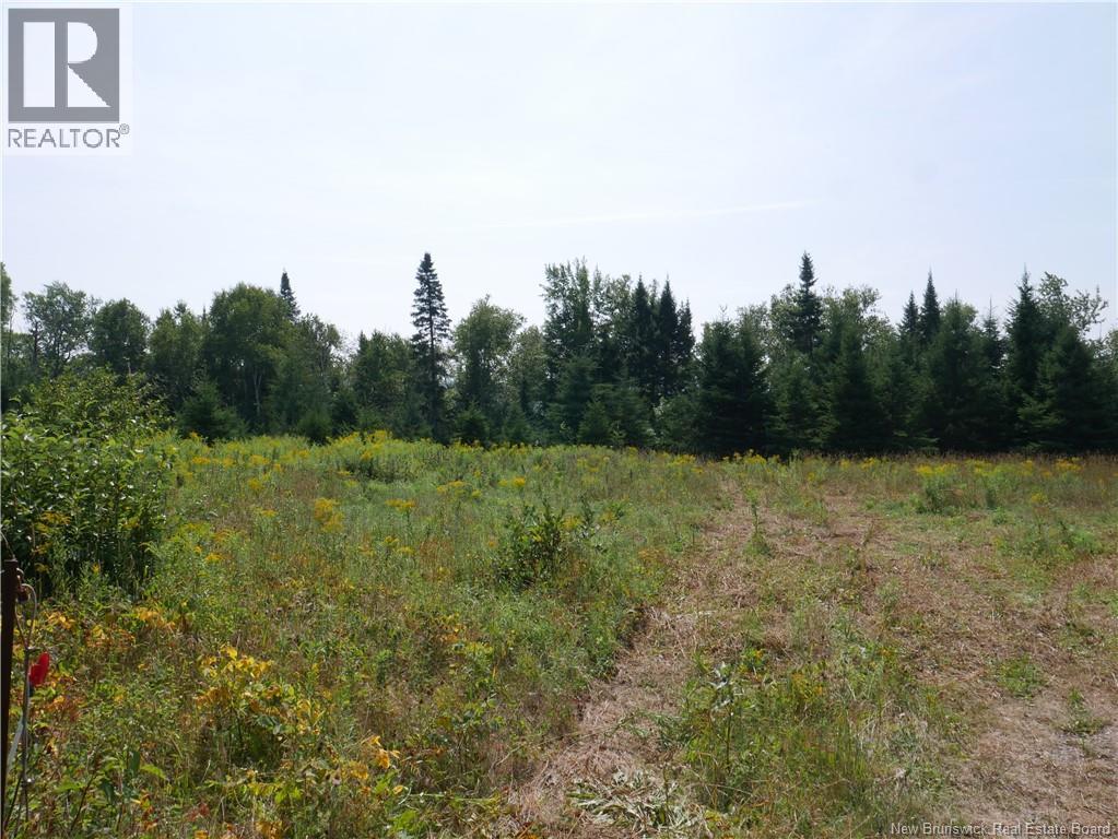 1488 Route 390, Gladwyn, New Brunswick E7H 4R7 - Photo 2 - NB124655