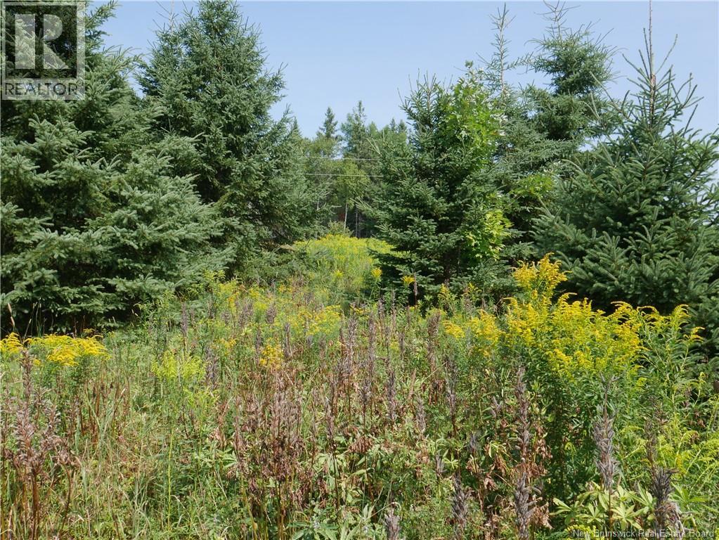 1488 Route 390, Gladwyn, New Brunswick E7H 4R7 - Photo 24 - NB124655