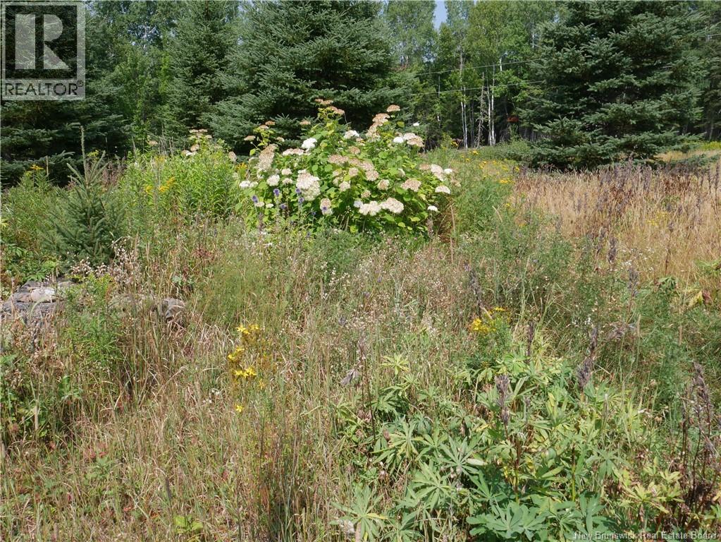 1488 Route 390, Gladwyn, New Brunswick E7H 4R7 - Photo 27 - NB124655