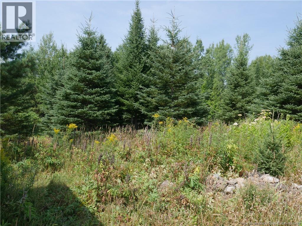 1488 Route 390, Gladwyn, New Brunswick E7H 4R7 - Photo 28 - NB124655
